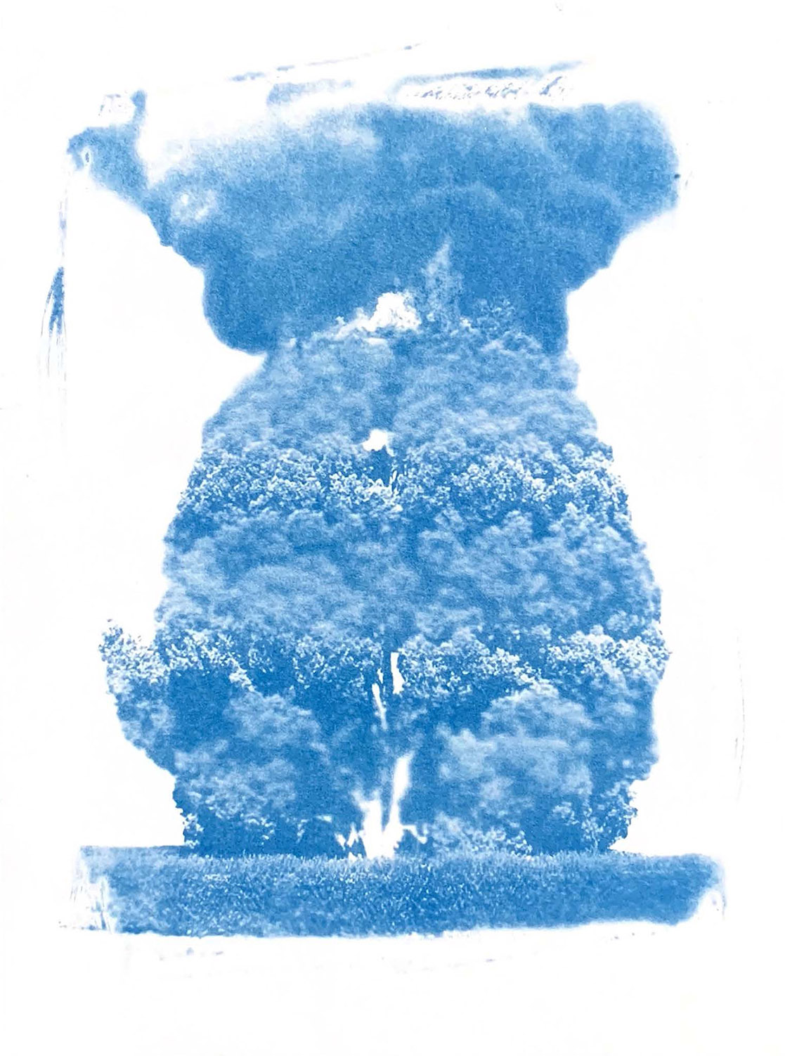 Dream’s Ashes — image 16