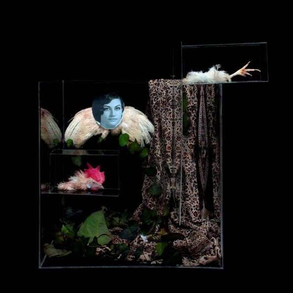 Still Life — Mahsa Alikhani