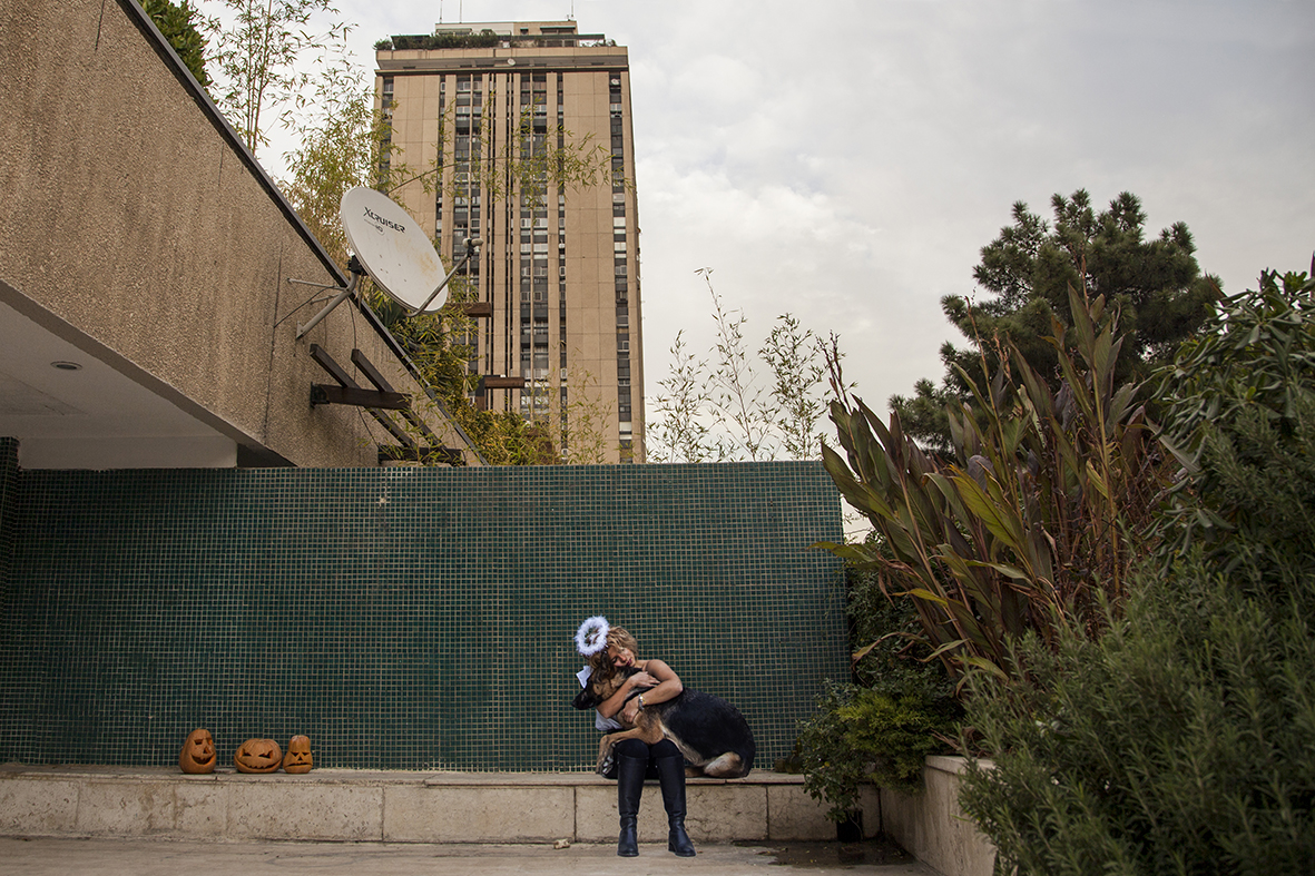 Quietude and Revolution — Mahsa Alikhani