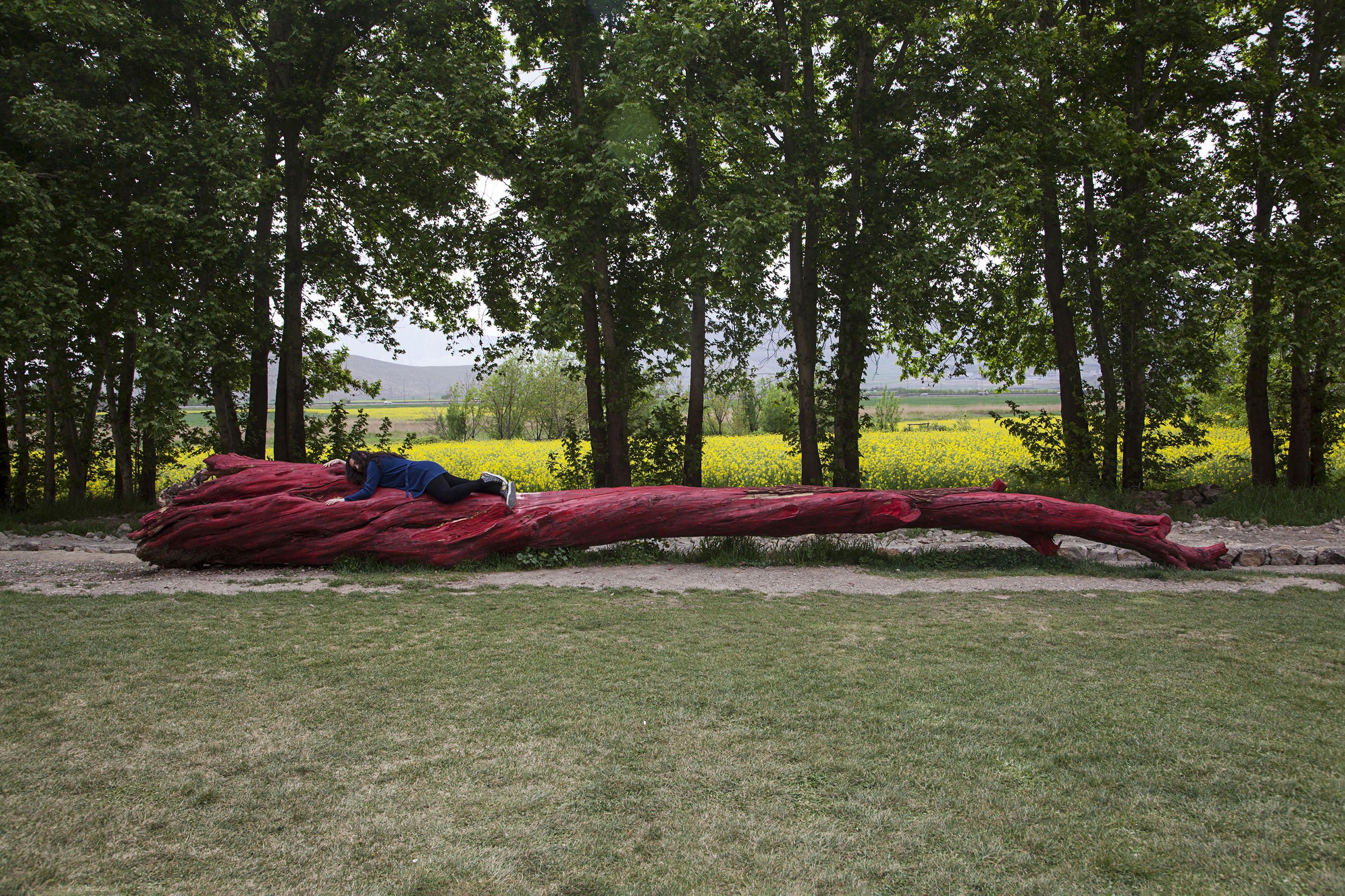 Quietude and Revolution — image 9