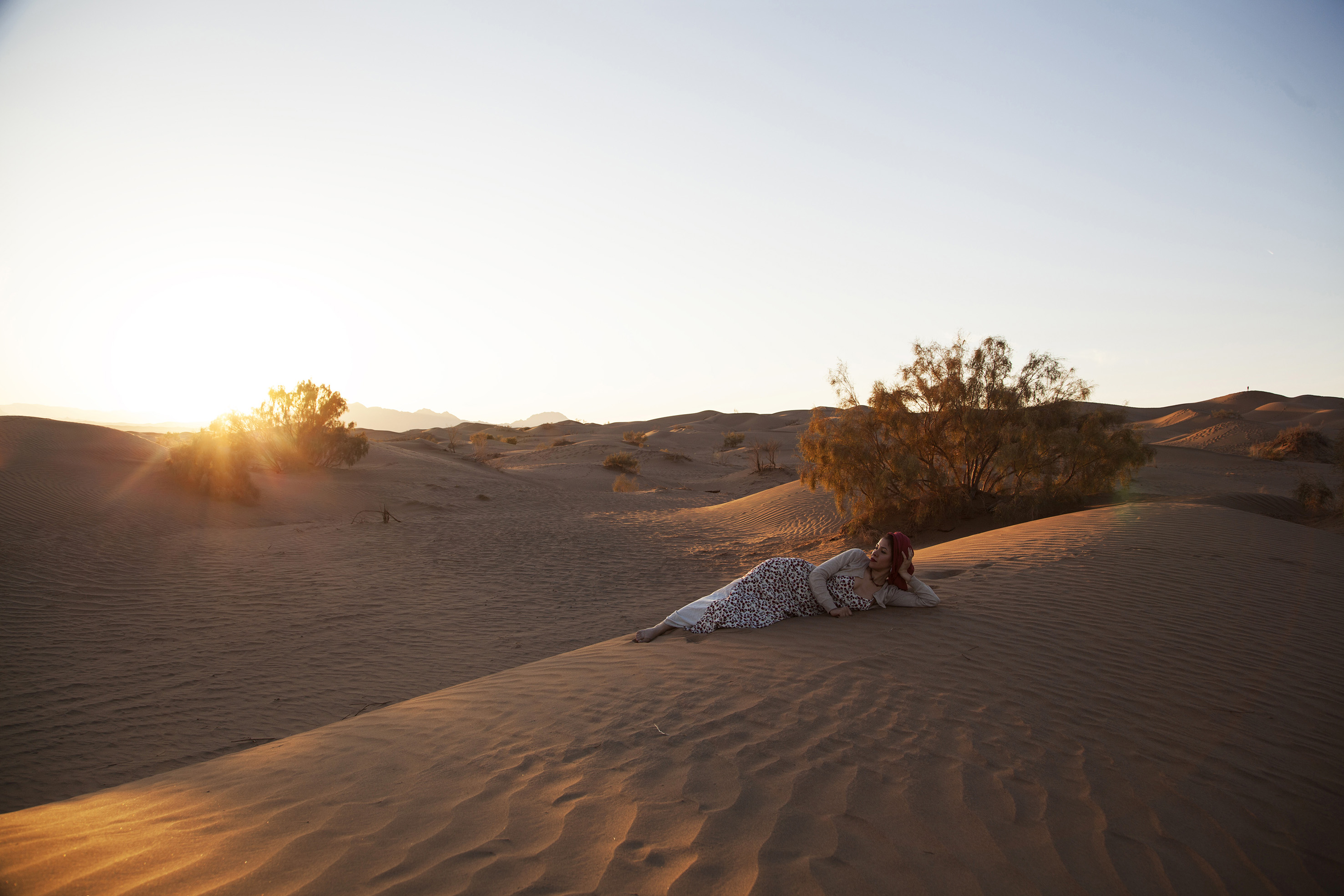 Quietude and Revolution — image 8