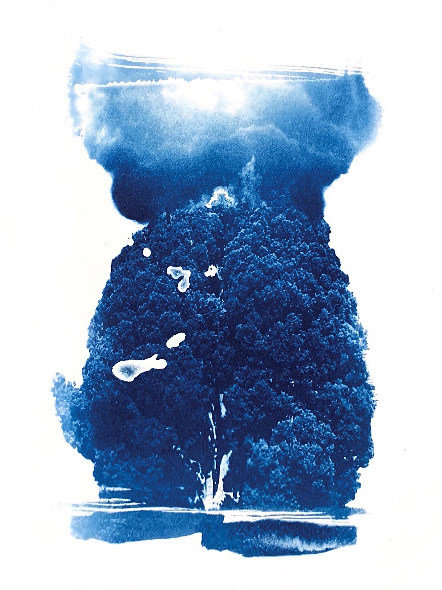 Dream’s Ashes — image 22