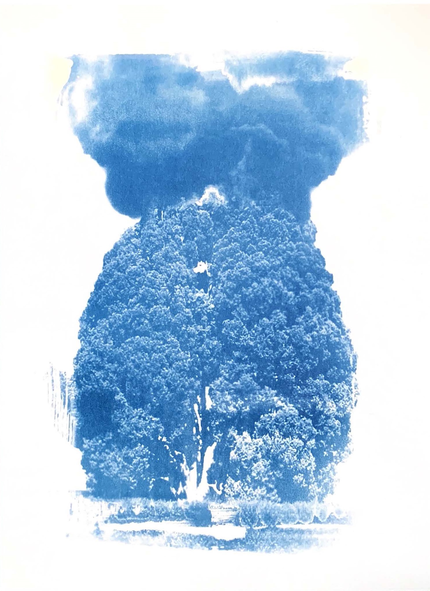 Dream’s Ashes — image 14